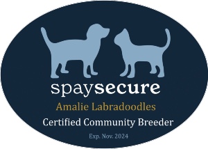 SpeySecure Badge - Amalie2024